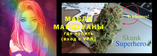 стаф Арсеньев
