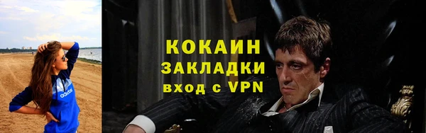 стаф Арсеньев
