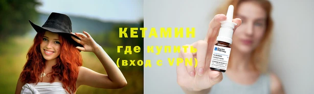 стаф Арсеньев