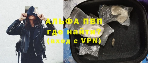 дживик Ельня