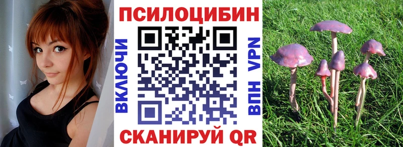 мега как зайти  Рыбное  сайты даркнета состав  продажа наркотиков  Галлюциногенные грибы Psilocybe 